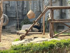 -五龙山野生动物王国