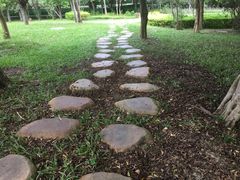 -福田红树林生态公园