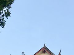 -大渡口区义渡公园