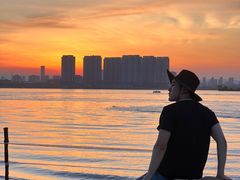 -瑶湖郊野森林公园