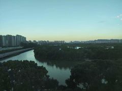 -三垟湿地