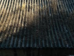 -北京鹫峰国家森林公园