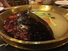 -杨家火锅(国美店)