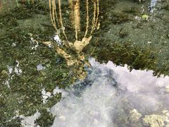 -丽江玉水寨