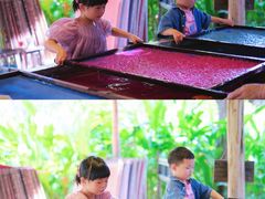 -大象粑粑造纸公园