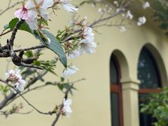 -上海兴国宾馆香樟园西餐厅