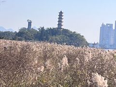 -江心屿景区
