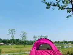 -尚贤河湿地