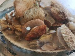 -港畔赶海蒸汽海鲜烧烤自助(仙螺岛店)