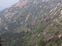 -鲁山国家森林公园