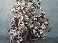 android_upload_pic-王家大院