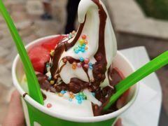 -Salud撒露欧洲冻酸奶(蓝色港湾店)