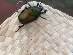 -敬亭山风景名胜区