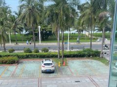 -同禧荟·港味海鲜火锅·粤菜(三亚湾店)