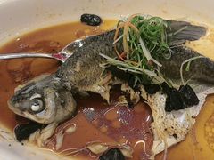 -陶缘一号·四季缘·老字号顺德菜·户外婚礼家宴(西滘店)