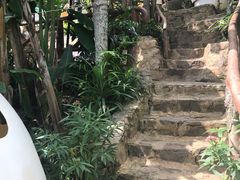 -100蛋泥浆浴