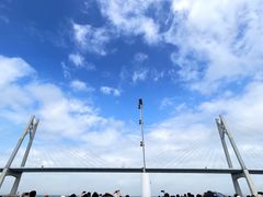 -招商蛇口邮轮母港(观光客运)