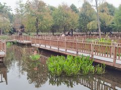 -五缘湾湿地公园