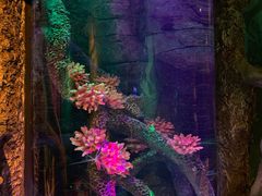 -沈阳海洋探索中心