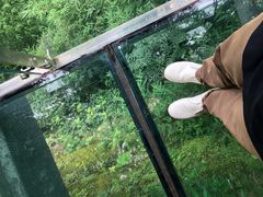 -川西竹海景区