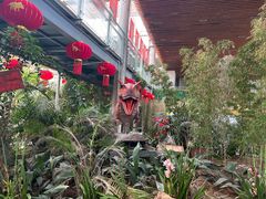 -沈阳植物园