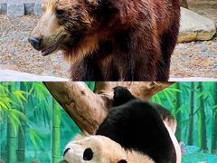 -灵玲国际马戏城