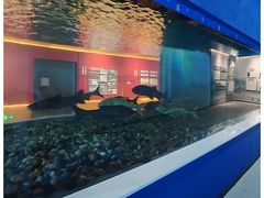 -千岛湖鱼味馆(十字街总店)