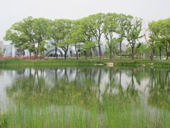 -上海植物园-4号门售票处