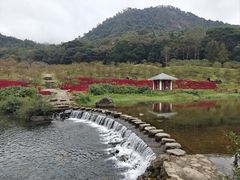 -广州市石门国家森林公园