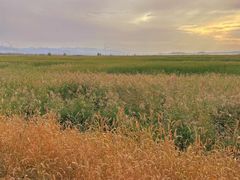 -野鸭湖国家湿地公园
