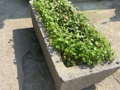 -文魁斋
