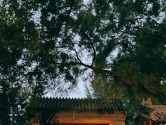 -颐和园