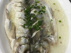 -石家饭店中市店
