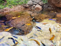 -上海海洋水族馆