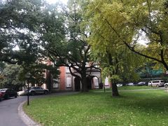 -叶叶菩提·晋福宫