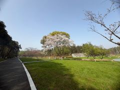 -宜兴龙背山森林公园