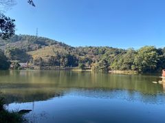 -广州市石门国家森林公园