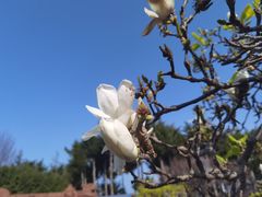 -南诏风情岛