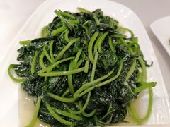 蕃薯叶-品泉餐厅·大盆鱼·走地鸡