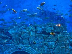 -横店影视城梦幻谷园区