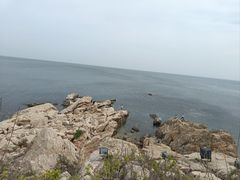 -养马岛旅游度假区