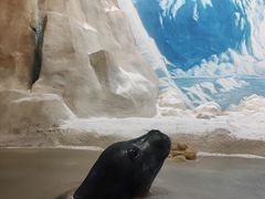 -浙江自然博物院(杭州馆)