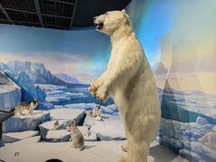 -陕西自然博物馆