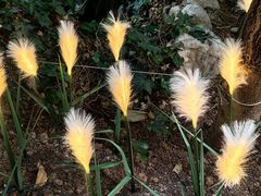 -忆江南·生态餐饮宴会酒店