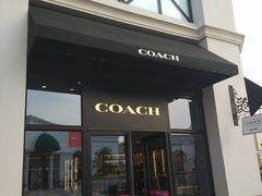 -COACH蔻驰(百联奥特莱斯广场店)