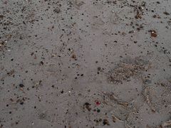 -那香海钻石沙滩浴场