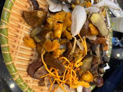 野生菌拼盘-草墩罗非鱼庄•野生菌•腊排骨(七星街上段店)