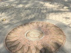 -合肥滨湖国家森林公园