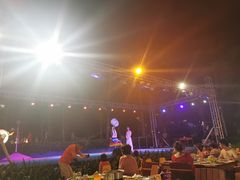 -渔家火锅·海鲜自助餐·演艺(亚龙湾天域酒店)