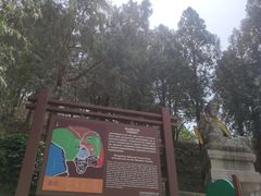 -北京十三陵国家森林公园蟒山景区
